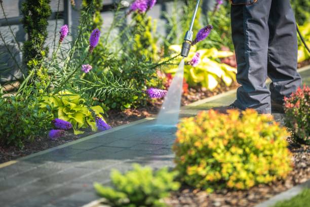 Best Parking Lot and Garage Cleaning  in American Falls, ID
